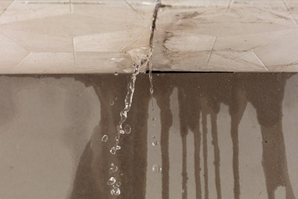 Professional Water Damage Repair technician working in Algonquin, IL